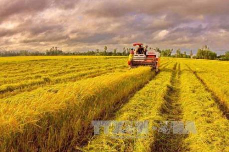 Còn dư địa để nông nghiệp bù đắp cho tăng trưởng âm