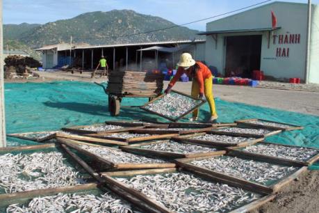 Rà soát nhu cầu cho vay, xử lý nợ bị ảnh hưởng do sự cố môi trường biển miền Trung