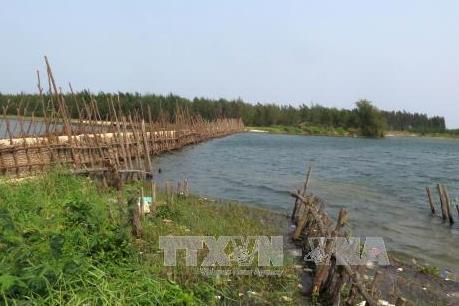 Chấp thuận cho Quảng Ngãi xây đê kè ngăn mặn sông Trà Bồng