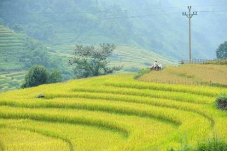 Bắt đầu Tuần văn hóa Danh thắng quốc gia Ruộng bậc thang huyện Mù Cang Chải 2016