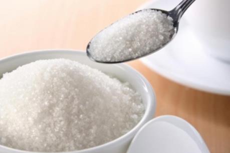 SBT sắp phát hành cổ phần từ nguồn vốn chủ sở hữu, tỷ lệ 24%