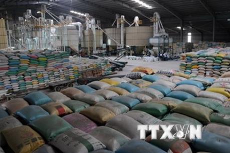 Sớm trình phương án cổ phần hóa Tổng Công ty Lương thực miền Nam