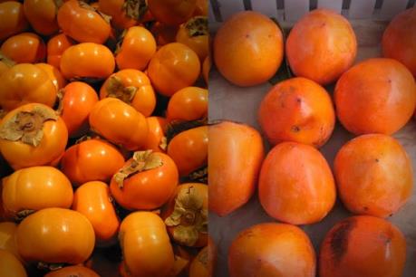 Cách phân biệt hồng Trung Quốc và hồng Việt Nam cực chuẩn