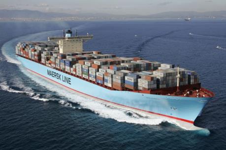 Thủ tướng chỉ đạo làm rõ việc tạm giữ lô hàng đông lạnh của Công ty Maersk 