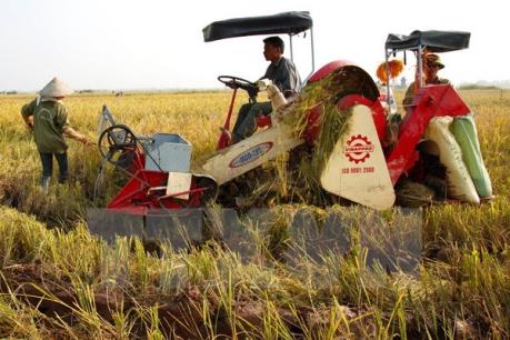 Gần 70% máy móc nông nghiệp phải nhập khẩu