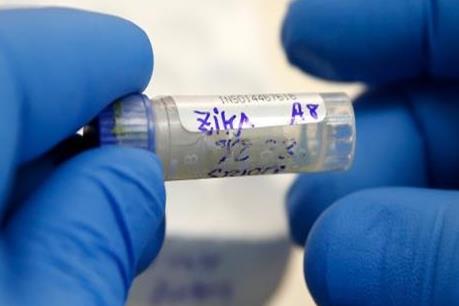 Công bố kết quả thử nghiệm vaccine ngừa Zika trên động vật