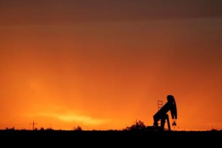 Giá dầu giảm giá mạnh nhất kể từ giữa tháng Bảy