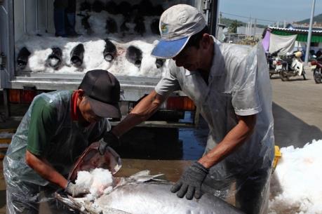 Bức xúc do ô nhiễm nặng tại khu cảng cá Sa Huỳnh