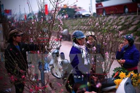 Dự báo thời tiết mùng 3 Tết Đinh Dậu: Bắc Bộ trời chỉ lạnh về đêm và sáng