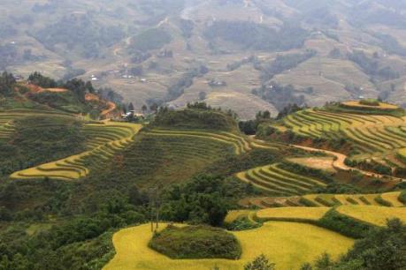 Việt Nam: Điểm đến hấp dẫn du khách Mỹ