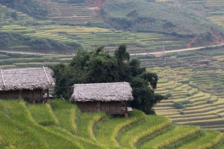 Truyền hình Ai Cập phát sóng trực tiếp quảng bá Việt Nam