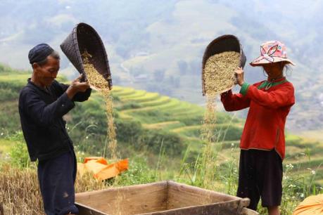 Sapa - Sắc màu Tây Bắc