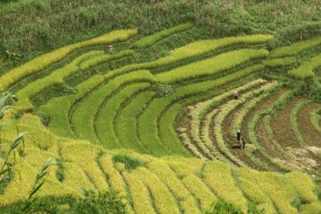 Thủ tướng phê duyệt Quy hoạch tổng thể Khu du lịch quốc gia Sa Pa