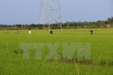 Đầu tư khoảng 1.300 tỷ đồng sản xuất nông nghiệp ứng dụng công nghệ cao