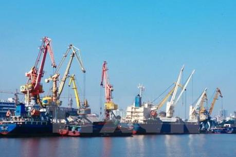 WTO hạ dự báo tăng trưởng thương mại toàn cầu