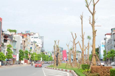 Đặt hàng các chuyên gia thiết kế trồng cây xanh ở Thủ đô