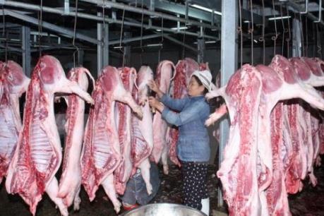 Giá thịt lợn hơi giảm nhẹ so với cuối tháng 8/2016