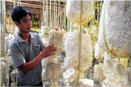 Mạnh dạn khởi nghiệp, vươn lên làm giàu ngay tại quê hương Bắc Giang