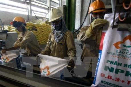 Lành mạnh hóa thị trường phân bón để tìm đầu ra