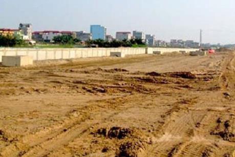 Yêu cầu kiểm tra, làm rõ vi phạm đất đai tại Đông Anh, Hà Nội