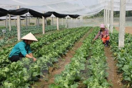 Ngành nông nghiệp tăng trưởng trở lại nhờ tái cơ cấu