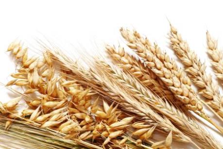 Điểm lại thị trường nông sản tuần qua