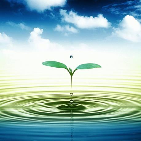 Cấp thoát nước Tuyên Quang sắp IPO 1,8 triệu cổ phần