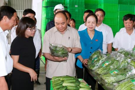 Thủ tướng thăm Dự án đầu tư Nông nghiệp ứng dụng công nghệ cao VinEco- Hải Phòng