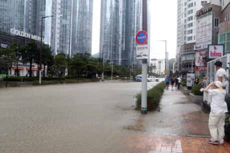 Bão Chaba hoành hành tại Hàn Quốc và Nhật Bản