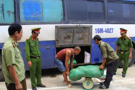 500 kg nội tạng động vật, bì lợn bốc mùi hôi thối bị bắt giữ