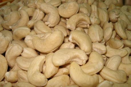 Giá hạt điều thô tăng kỷ lục, nông dân thiếu điều để bán