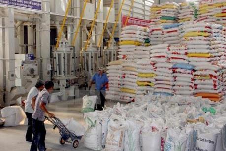 Giá tăng, nhưng tiêu thụ gạo nếp vẫn tiềm ẩn rủi ro