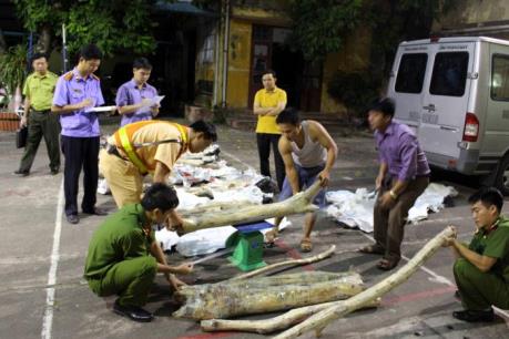 Bắt giữ vụ vận chuyển gần 6 tạ gỗ sưa "ngụy trang" đồ nội thất