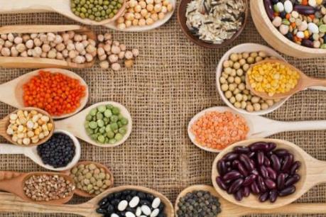 Thay thế nguồn đạm động vật bằng đạm thực vật