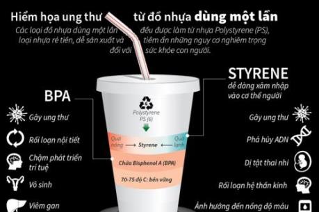 Hiểm họa ung thư từ đồ nhựa dùng một lần