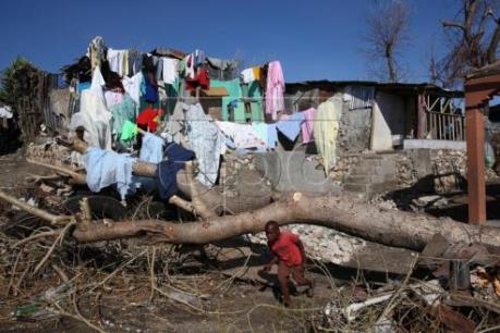 Hơn 1.000 người thiệt mạng do bão Matthew tại Haiti