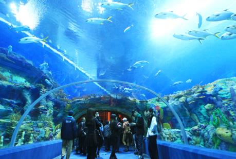 Phí tham quan Bảo tàng Hải Dương học từ 10.000 – 40.000 đồng/lượt