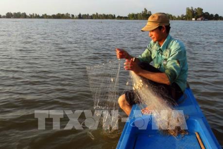 Lũ về... nhưng kém vui!
