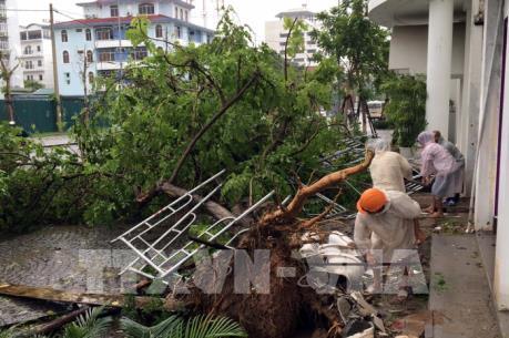 Ảnh hưởng áp thấp nhiệt đới: Mưa to, một số tuyến phố tại Thừa Thiên - Huế bị ngập sâu