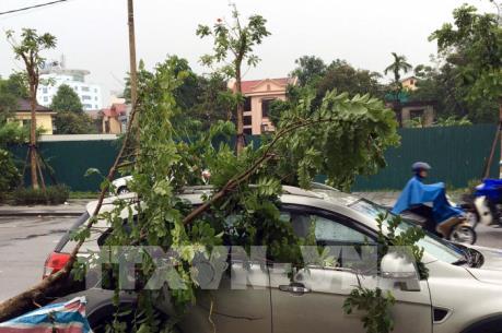 Ảnh hưởng áp thấp nhiệt đới: Mưa lớn kèm lốc xoáy gây nhiều thiệt hại ở Thừa Thiên - Huế