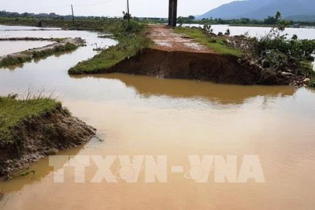 Quảng Bình: Vỡ đê ngăn mặn do mưa lũ