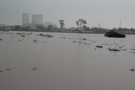 Mực nước sông Đồng Nai lên mức báo động II, cảnh báo nguy cơ ngập lụt