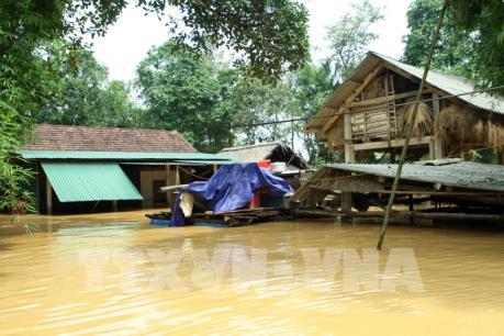 Các tỉnh, thành phố từ Nghệ An đến Ninh Thuận chủ động ứng phó và khắc phục hậu quả mưa lũ