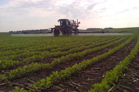 Học gì từ mô hình trang trại rau cộng đồng tại Mỹ?