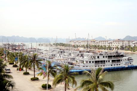 Quảng Ninh có ý kiến về việc thu phí qua Cảng tàu khách quốc tế Tuần Châu