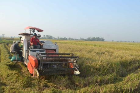 Trên 94.000 ha đã có nước cho vụ Đông Xuân