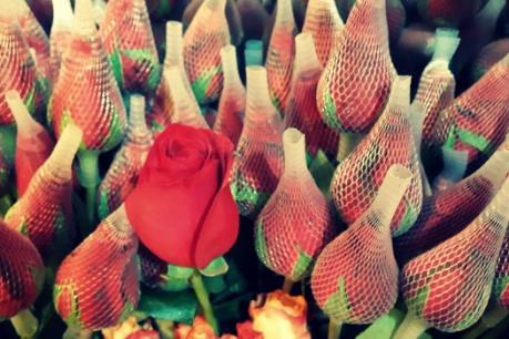 Nhộn nhịp thị trường hoa, quà tặng dịp 20/10