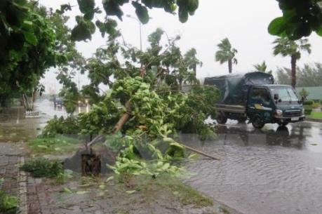 Tổng cục Đường bộ yêu cầu các đơn vị chủ động ứng phó với bão số 7