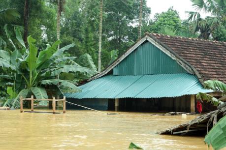Ảnh hưởng mưa lũ ở miền Trung: Đã cấp điện trở lại cho 2 tỉnh Nghệ An và Thừa Thiên - Huế