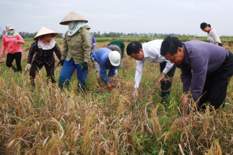 Ứng phó với bão số 7: Hải Phòng tập trung lực lượng chống bão